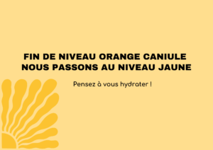 canicule jaune (1)