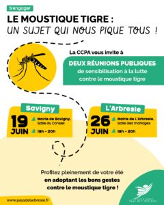 moustique tigre