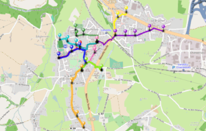 pedibus